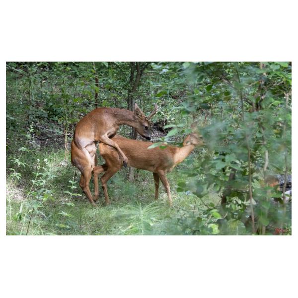 PHOTO84, CLUB, 84 , LUBERON